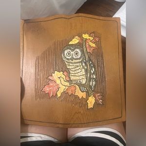 Carved / painted owl